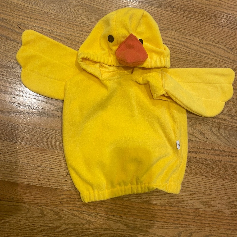 Duckling costume